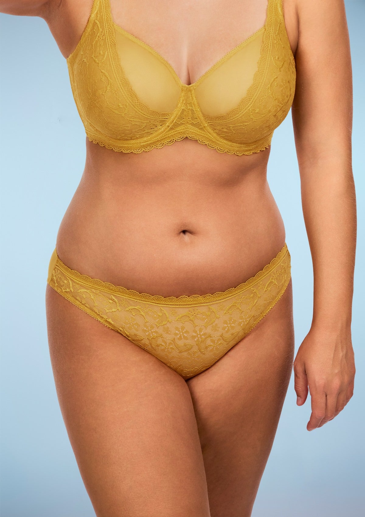 Anemone Lace Dolphin Mid-low Rise Ginger Bikini Underwear - HSIA