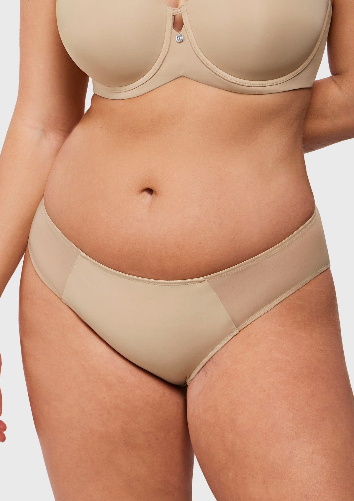 Aria Mesh Side Bikini Underwear - HSIA