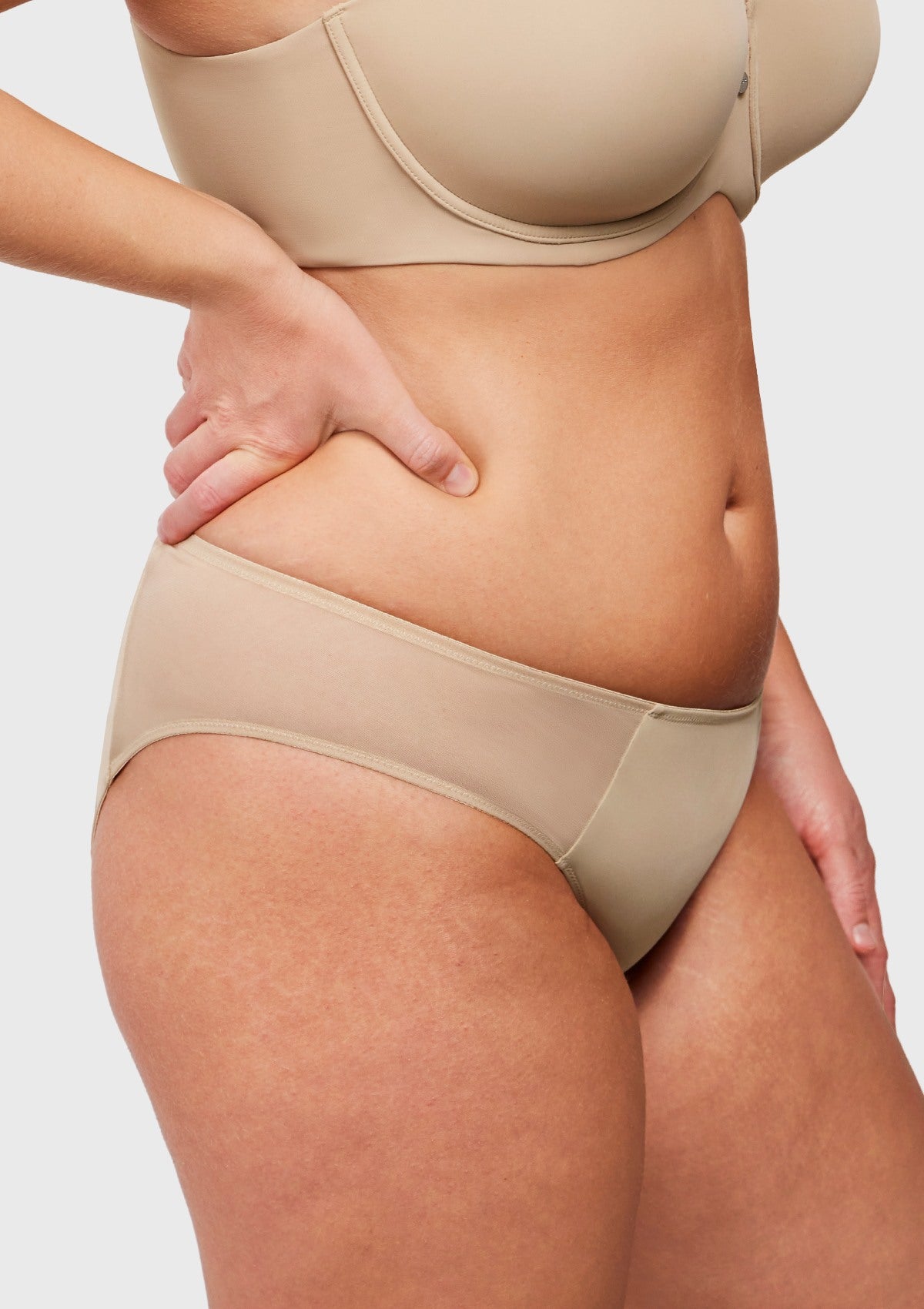 Aria Mesh Side Bikini Underwear - HSIA