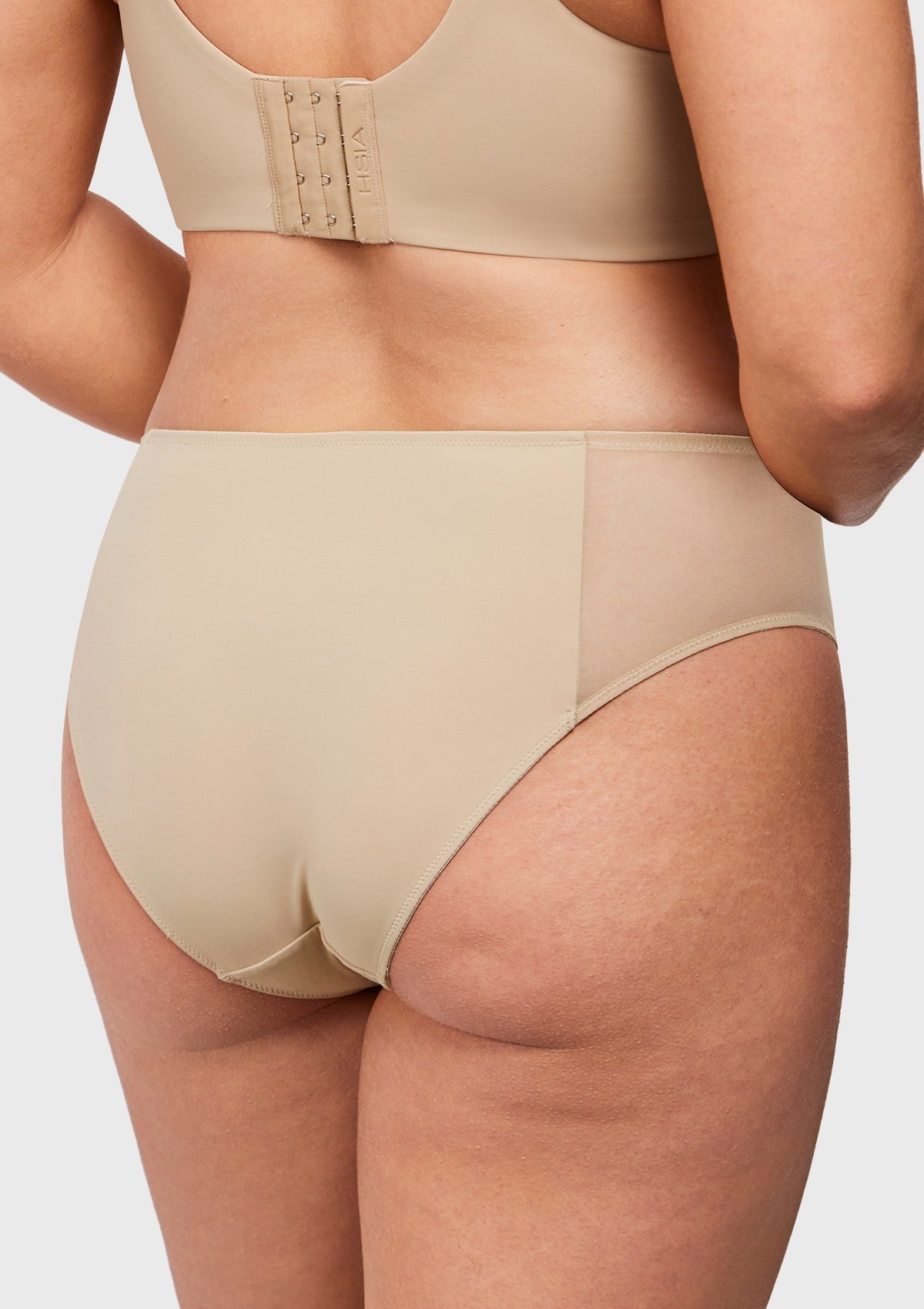 Aria Mesh Side Bikini Underwear - HSIA