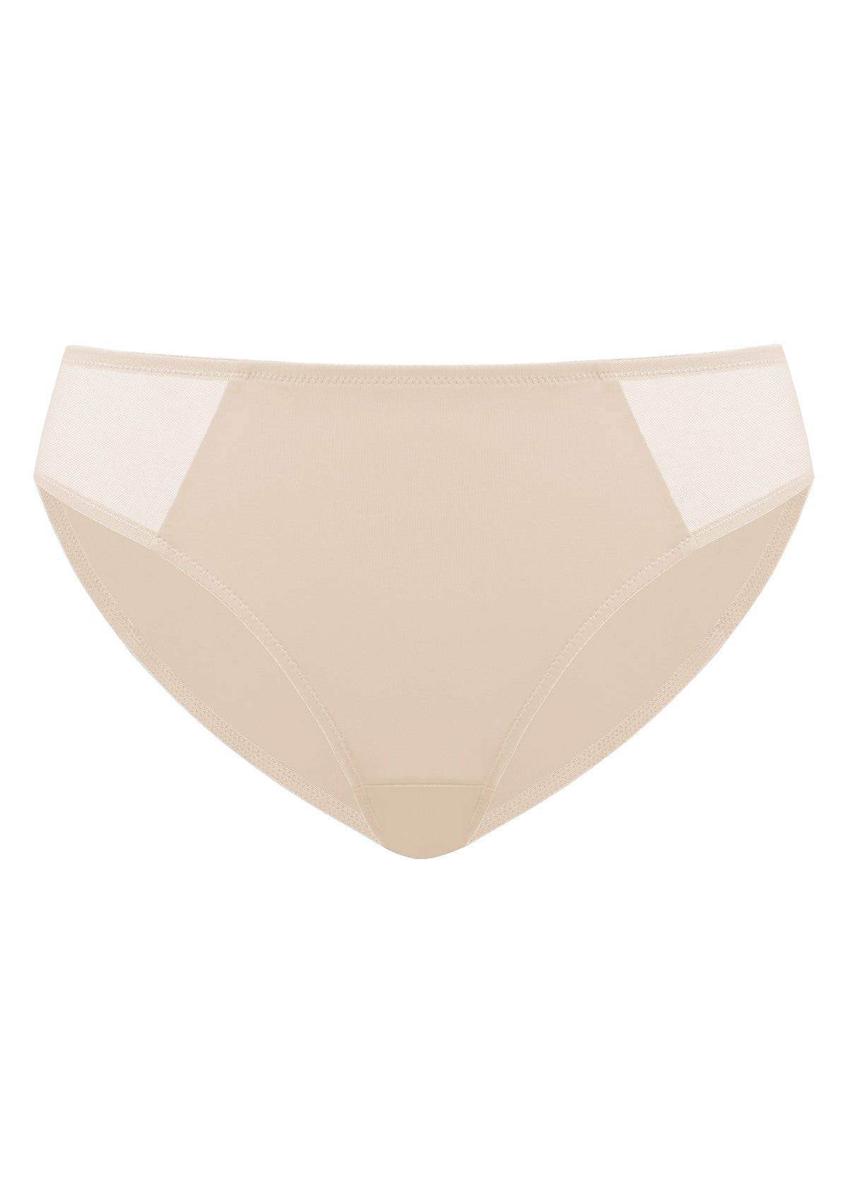 Aria Mesh Side Bikini Underwear - HSIA