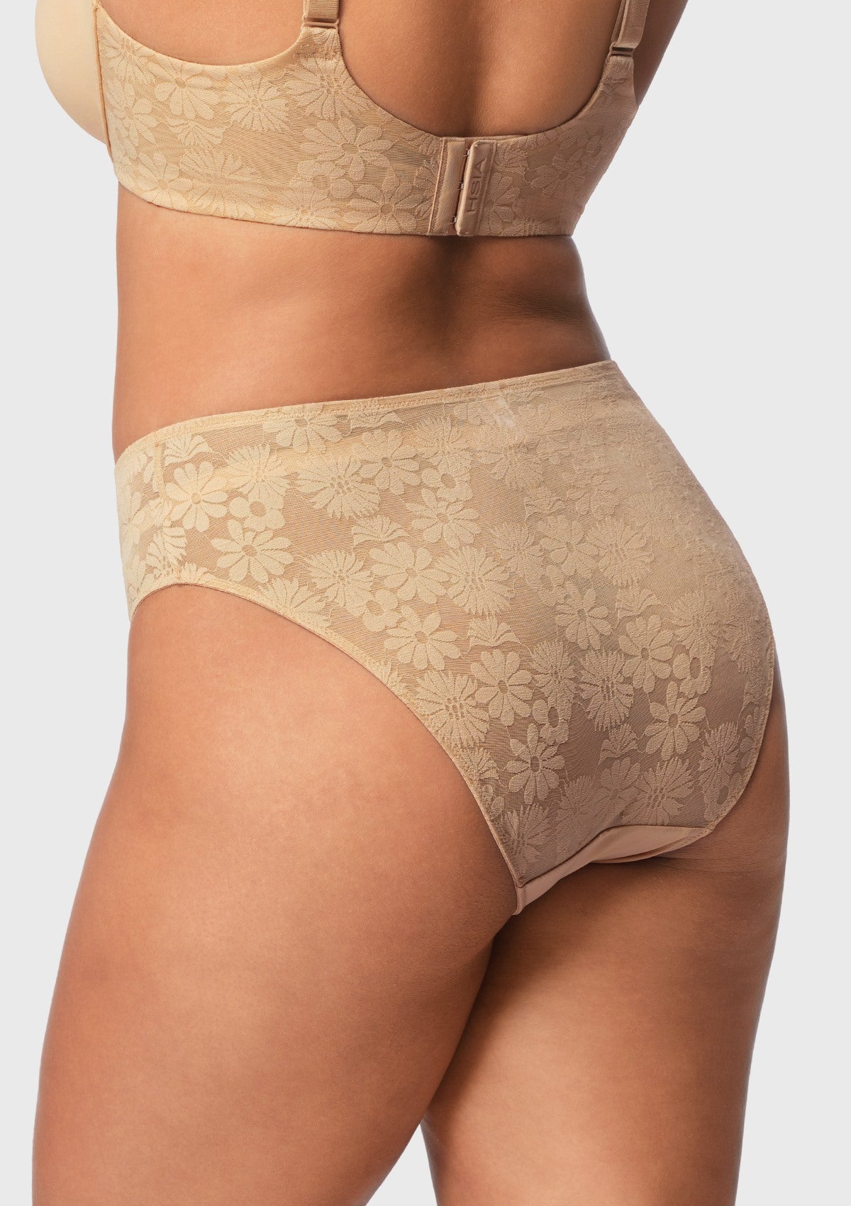Daisy Smooth Lace High-Rise Rosy Blush Mesh Lace Back Brief Underwear - HSIA