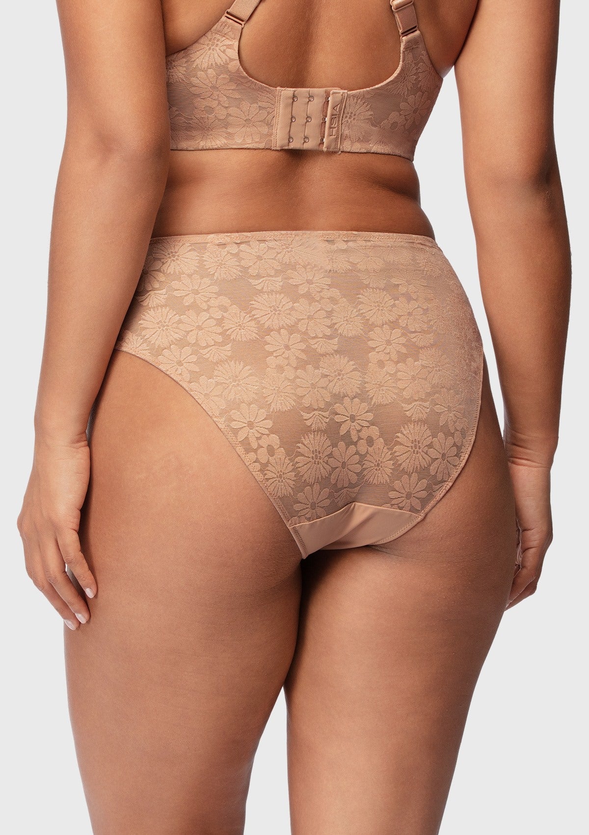 Daisy Smooth Lace High-Rise Rosy Blush Mesh Lace Back Brief Underwear - HSIA