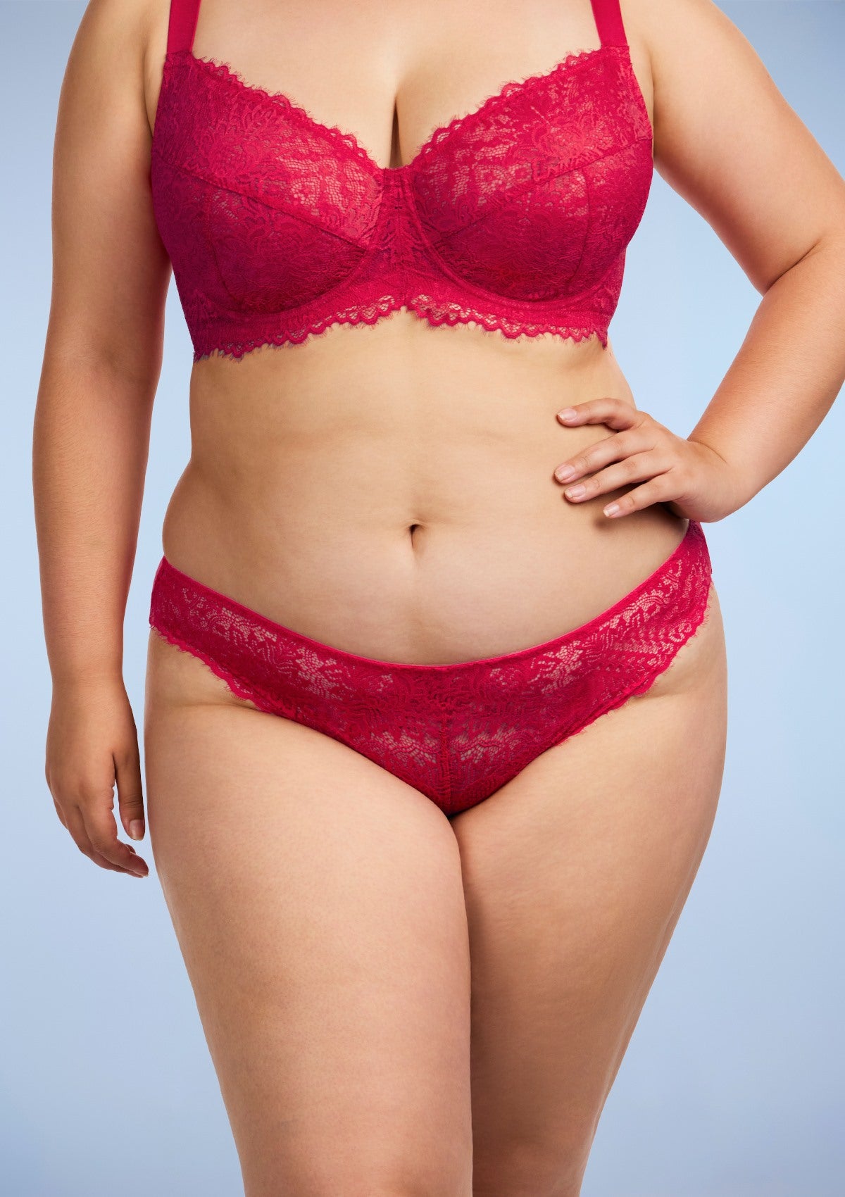 HSIA Sunflower Exquisite Raspberry Lace Bikini Underwear - HSIA