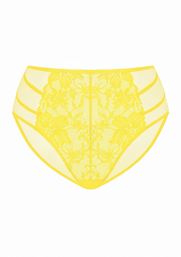 Pretty In Petals Bright Yellow Lace Bikini Underwear - HSIA