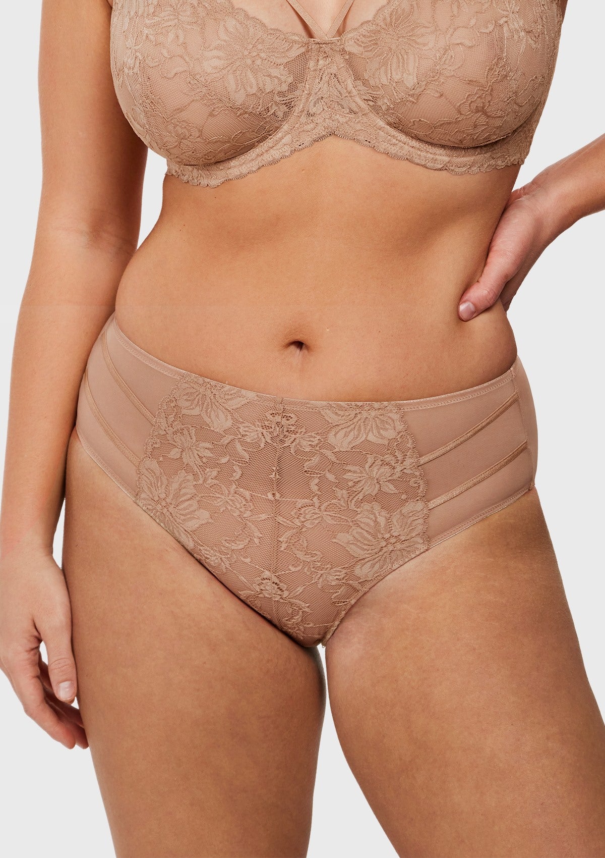 Pretty In Petals High-Rise Rosy Blush Lace Brief Underwear - HSIA