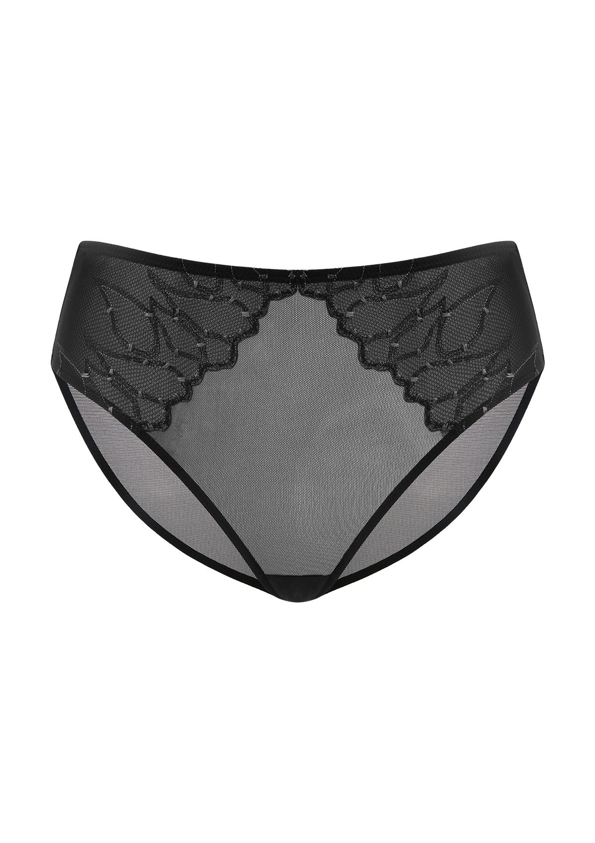 Winter Sonata Embroidered High-Rise Sheer Mesh Lace Bikini Undewear - HSIA