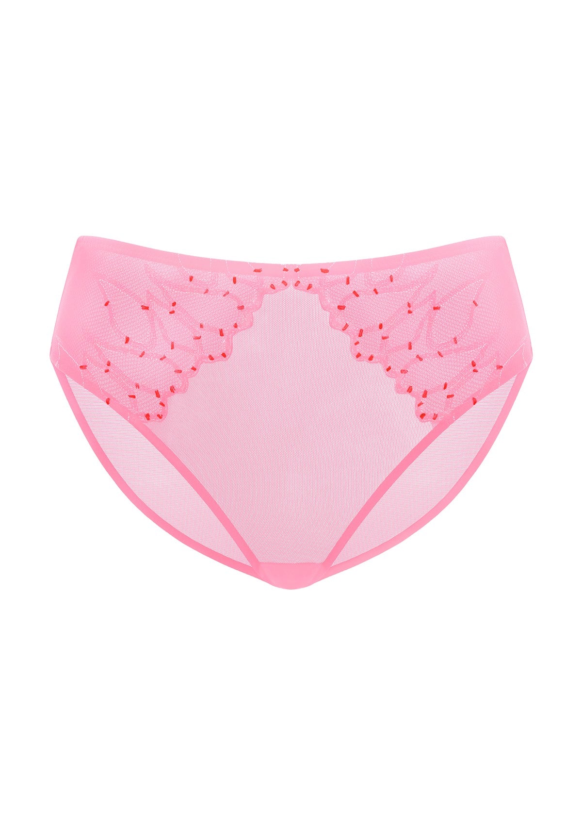 Winter Sonata Embroidered High-Rise Sheer Mesh Lace Bikini Undewear - HSIA