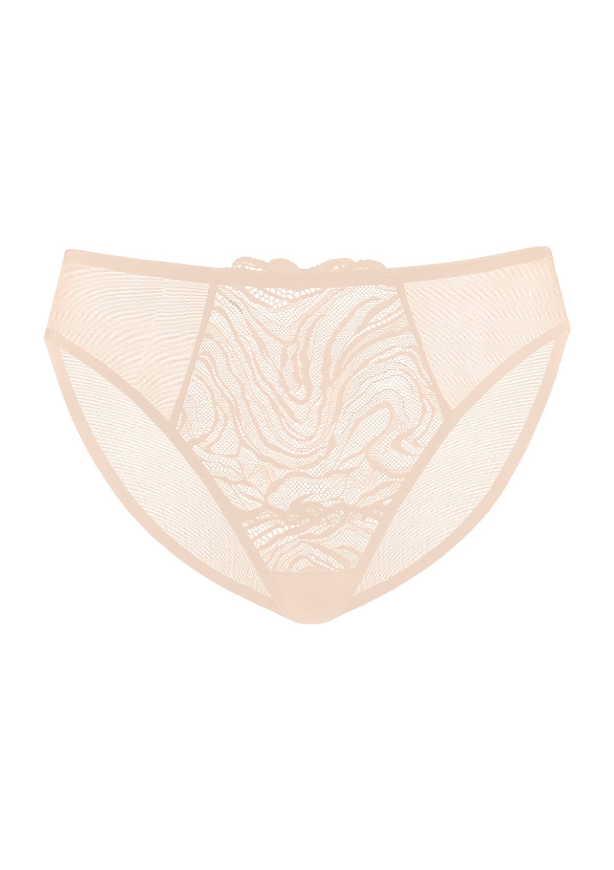 Serenata Floral High-Rise Sheer Mesh Lace Bikini Undewear - HSIA