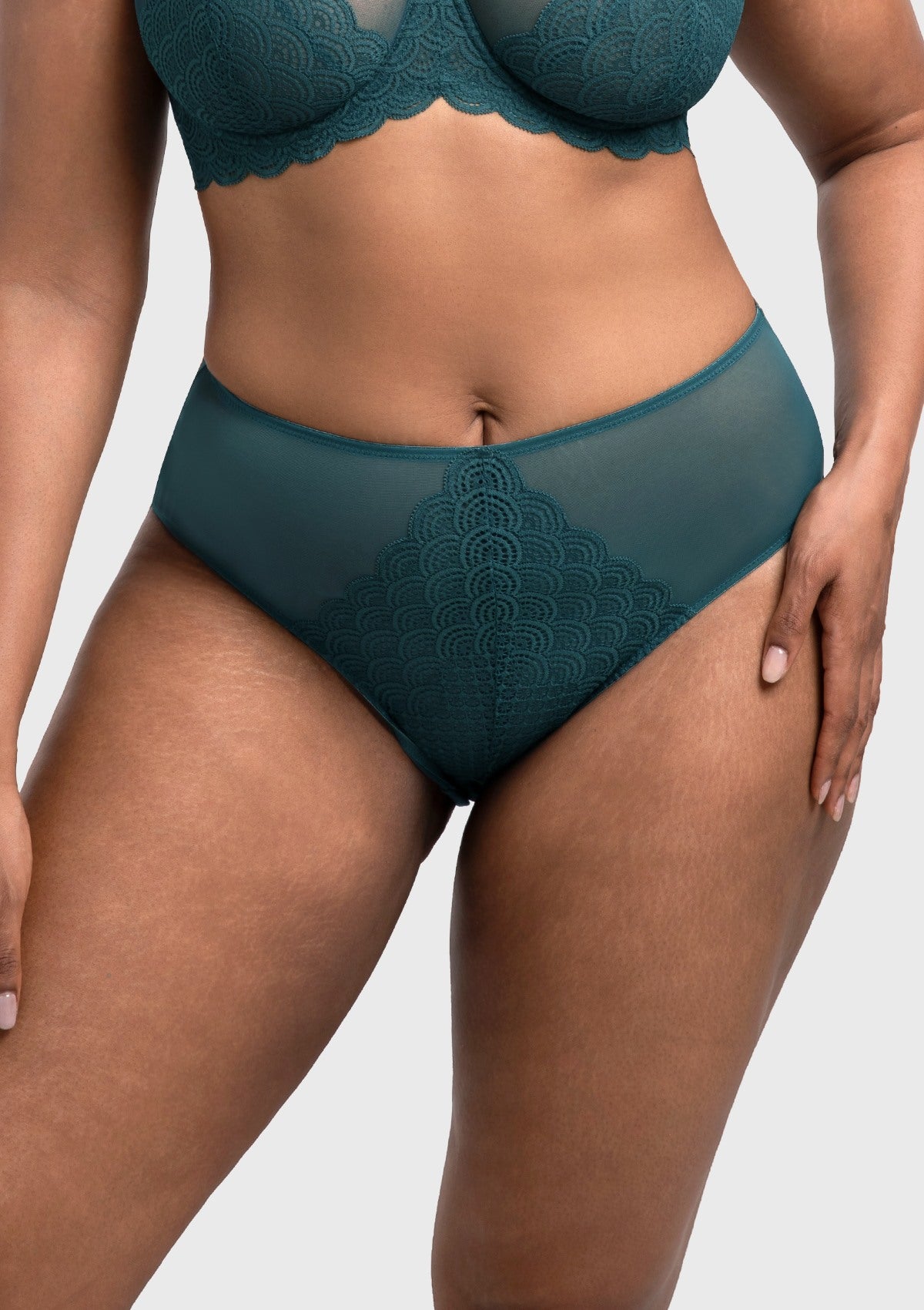 Mermaid High-Rise Lace Brief Underwear - HSIA