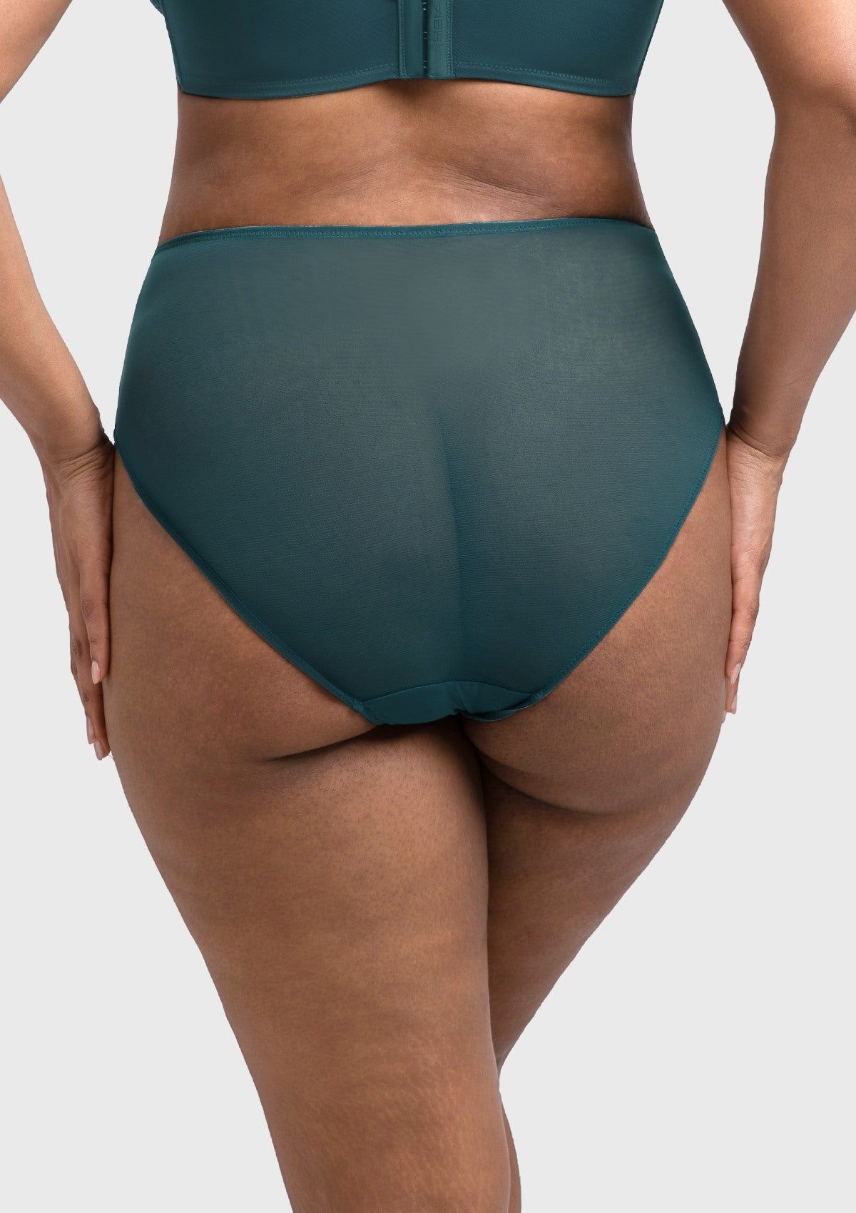 Mermaid High-Rise Lace Brief Underwear - HSIA