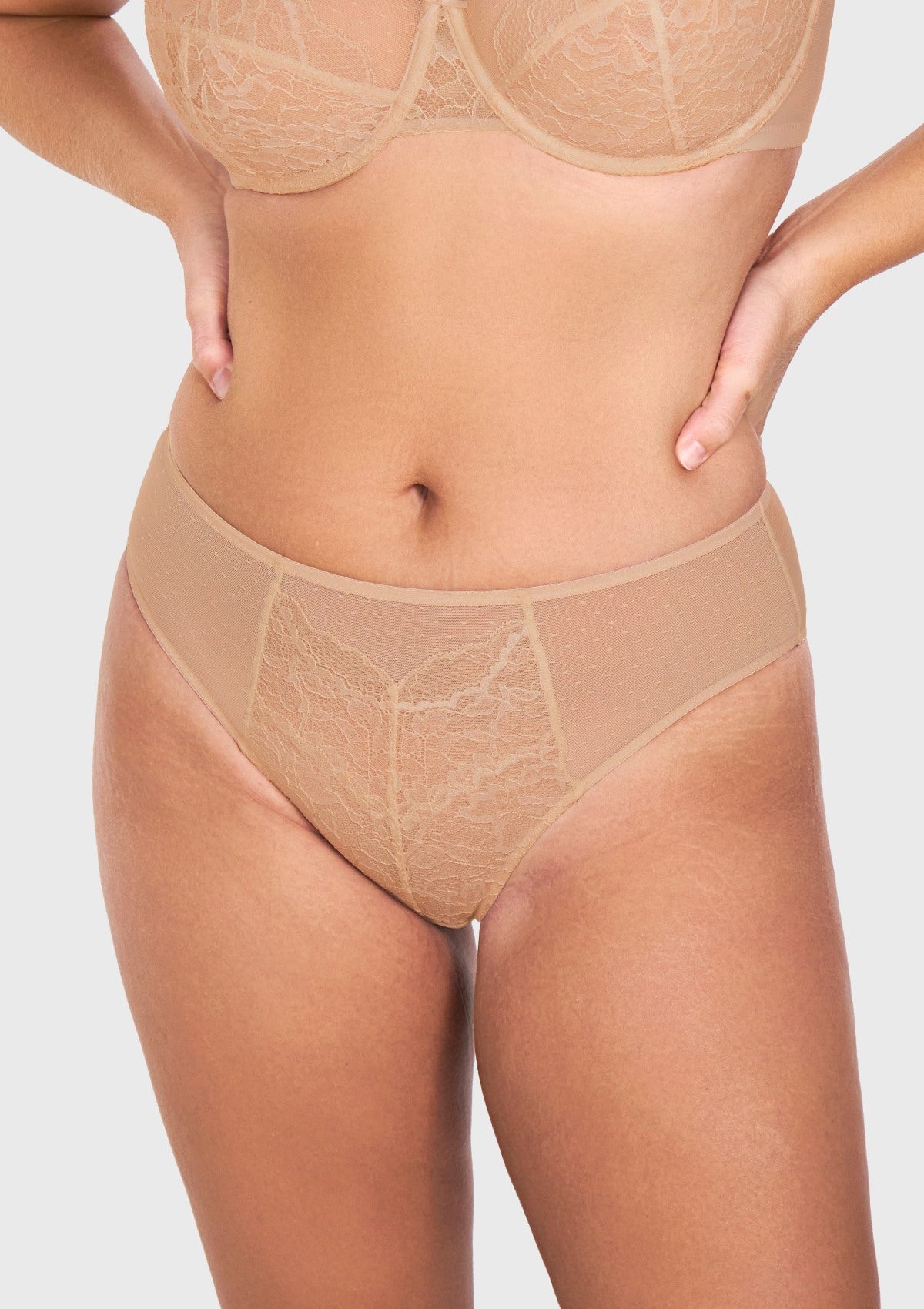 Enchante High-Rise Lace Brief Underwear - HSIA