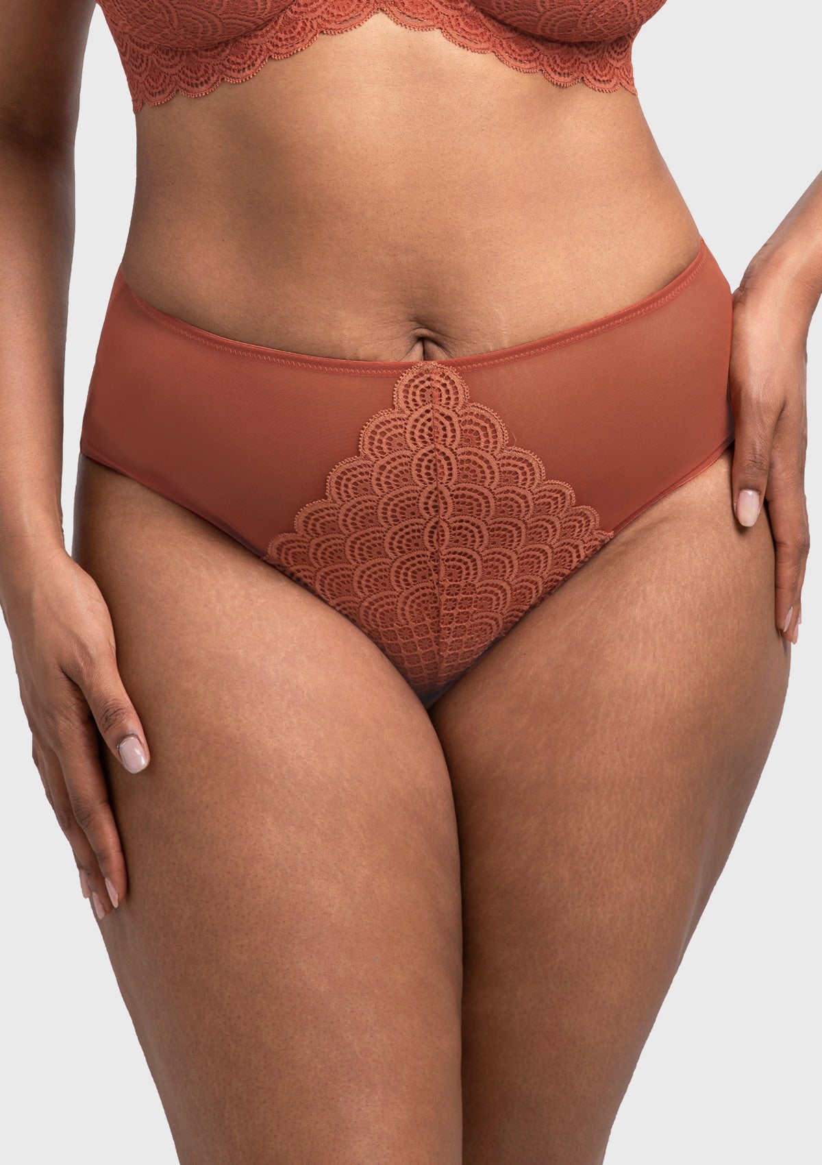 Mermaid High-Rise Lace Brief Underwear - HSIA