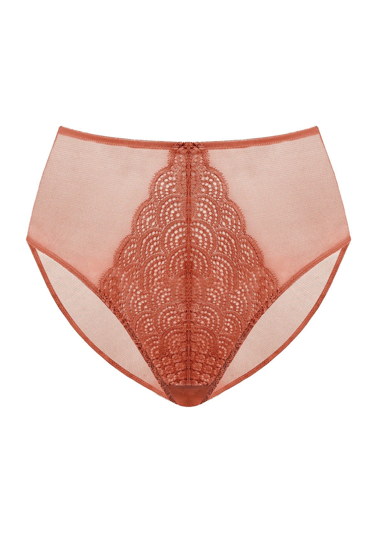 Mermaid High-Rise Lace Brief Underwear - HSIA