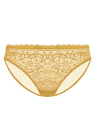 Anemone Lace Dolphin Mid-low Rise Ginger Bikini Underwear - HSIA