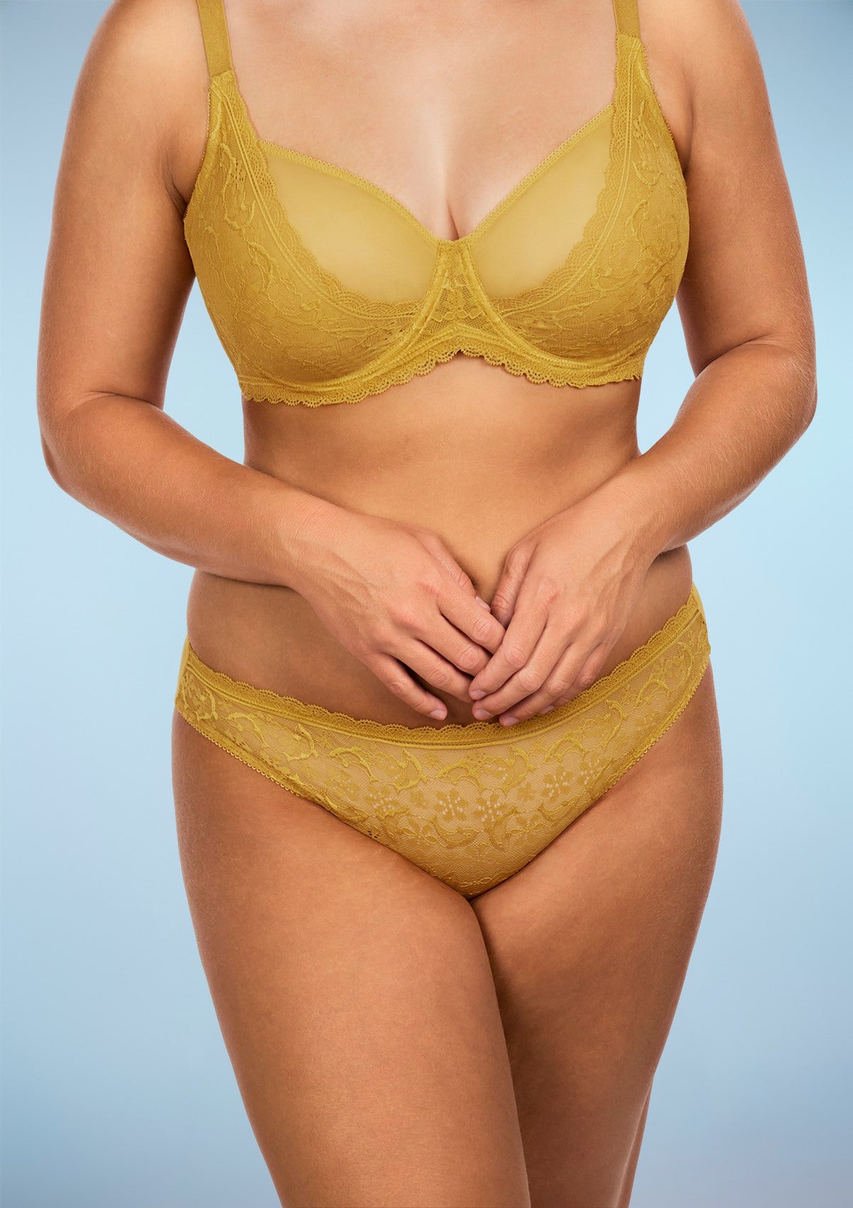 Anemone Lace Dolphin Mid-low Rise Ginger Bikini Underwear - HSIA