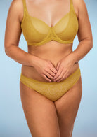 Anemone Lace Dolphin Mid-low Rise Ginger Bikini Underwear - HSIA