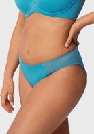 Aria Mesh Side Bikini Underwear - HSIA