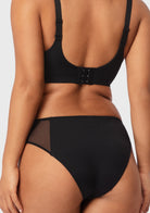 Aria Mesh Side Bikini Underwear - HSIA