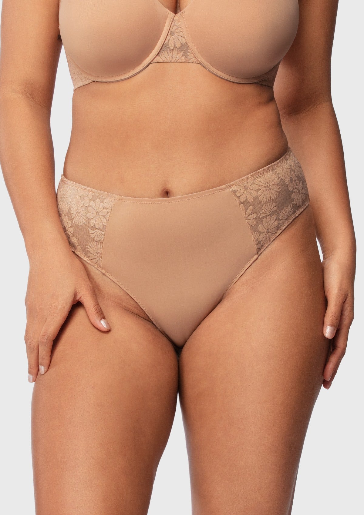 Daisy Smooth Lace High-Rise Rosy Blush Mesh Lace Back Brief Underwear - HSIA