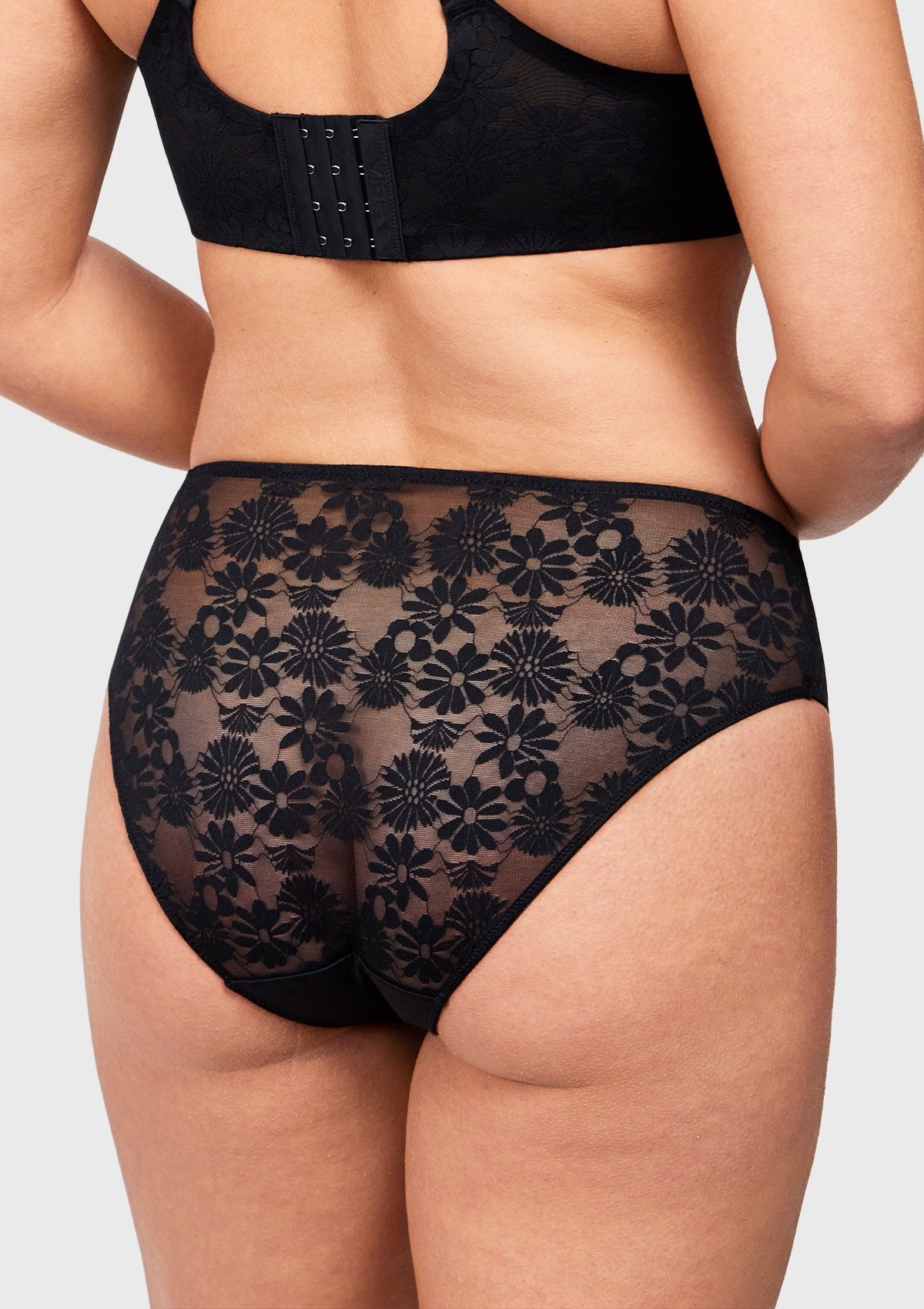 Daisy Smooth Lace High-Rise Rosy Blush Mesh Lace Back Brief Underwear - HSIA