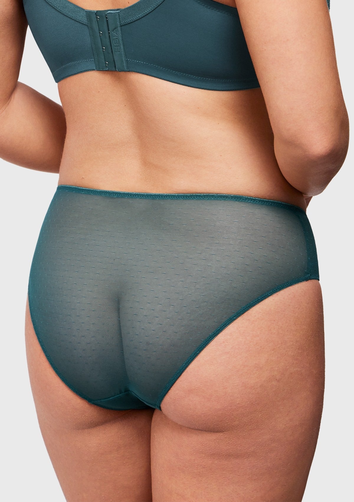 Enchante High-Rise Lace Brief Underwear - HSIA