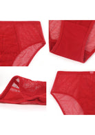 Enchante High-Rise Red Lace Brief Underwear - HSIA