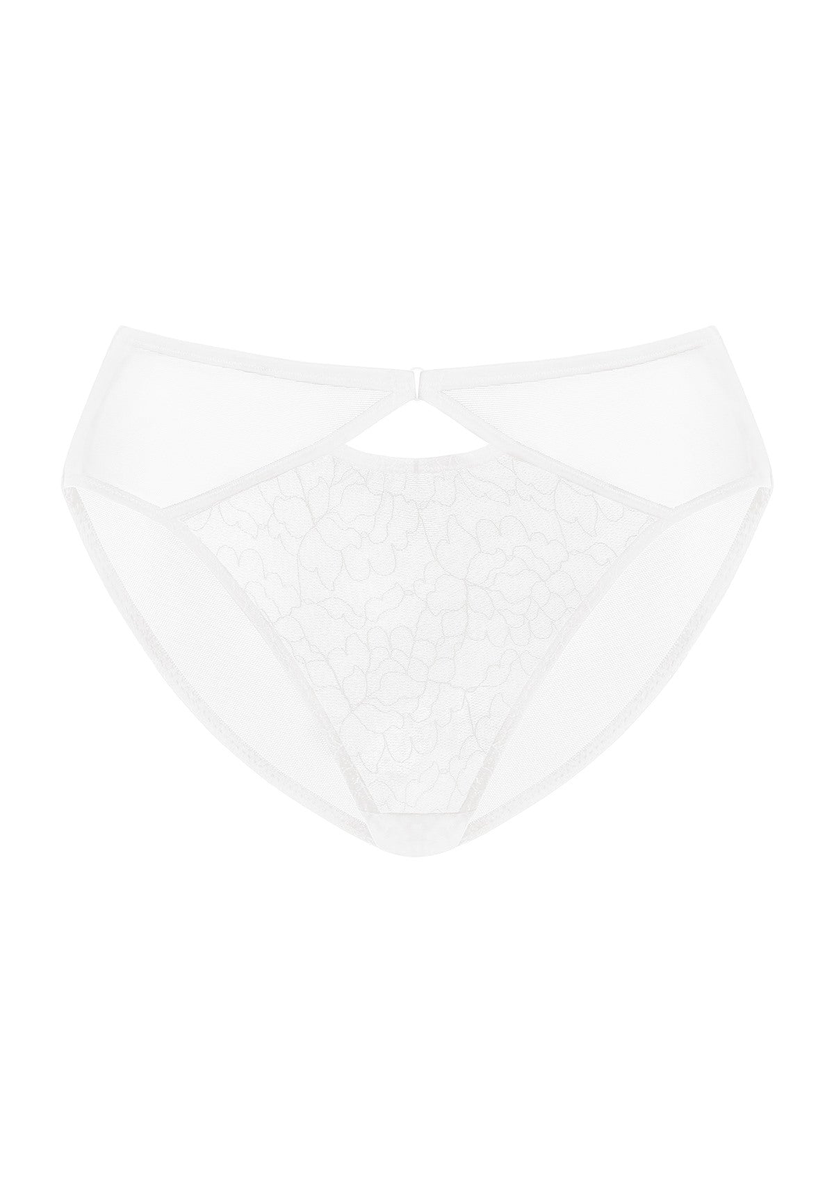 Ethereal Lines Embroidery Mesh Bikini Underwear - HSIA