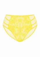 Pretty In Petals High-Rise Lace Brief Underwear - HSIA