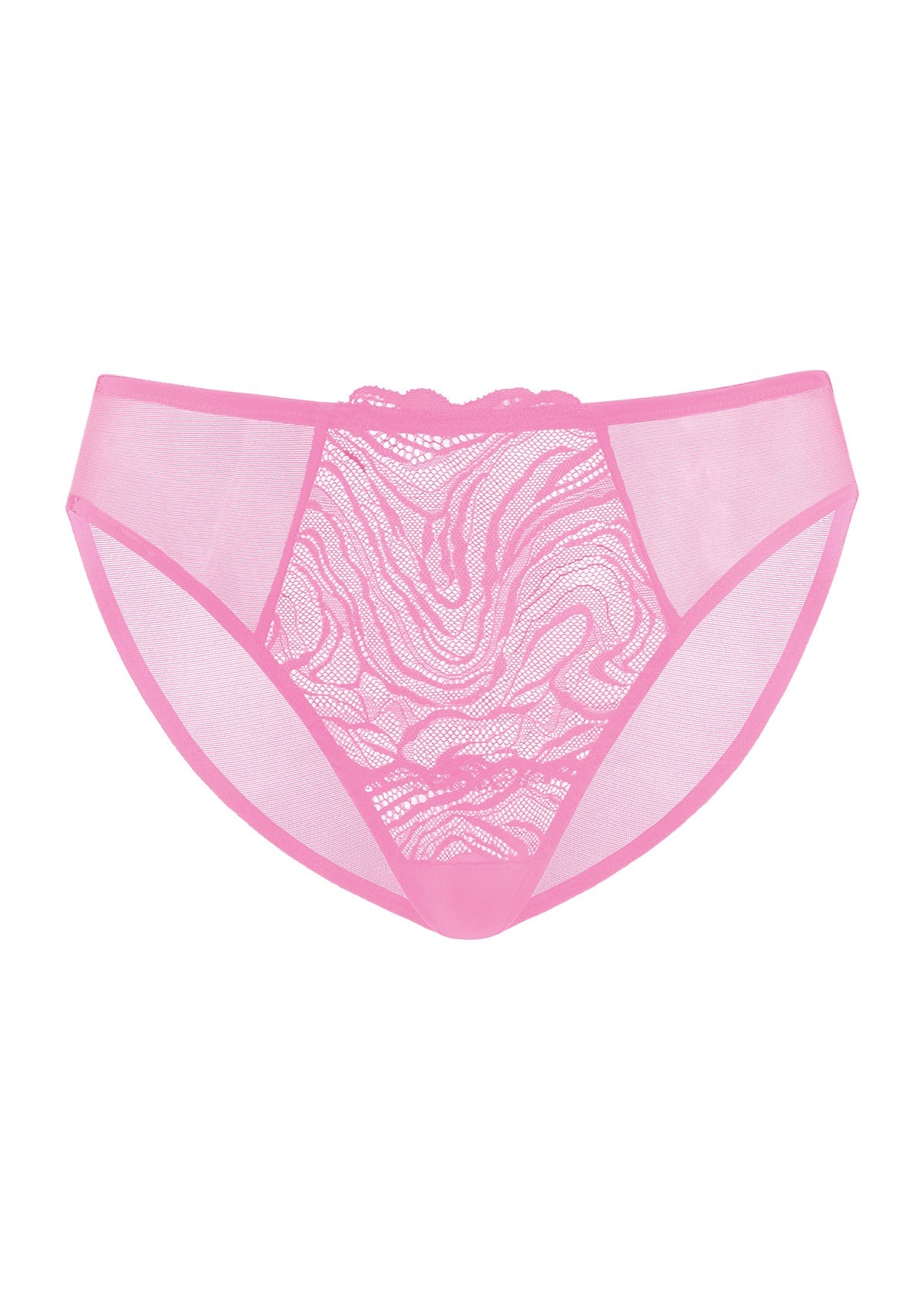 Serenata Floral High-Rise Sheer Mesh Lace Bikini Undewear - HSIA