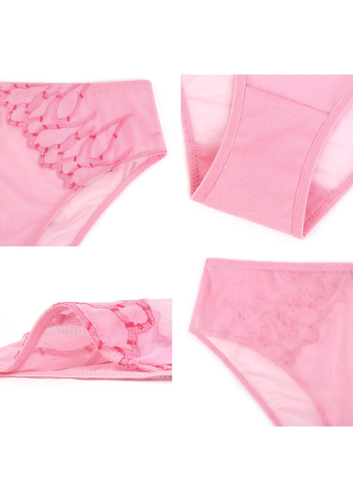 Winter Sonata Embroidered High-Rise Sheer Mesh Lace Bikini Undewear - HSIA