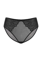 Winter Sonata Embroidered High-Rise Sheer Mesh Lace Bikini Undewear - HSIA