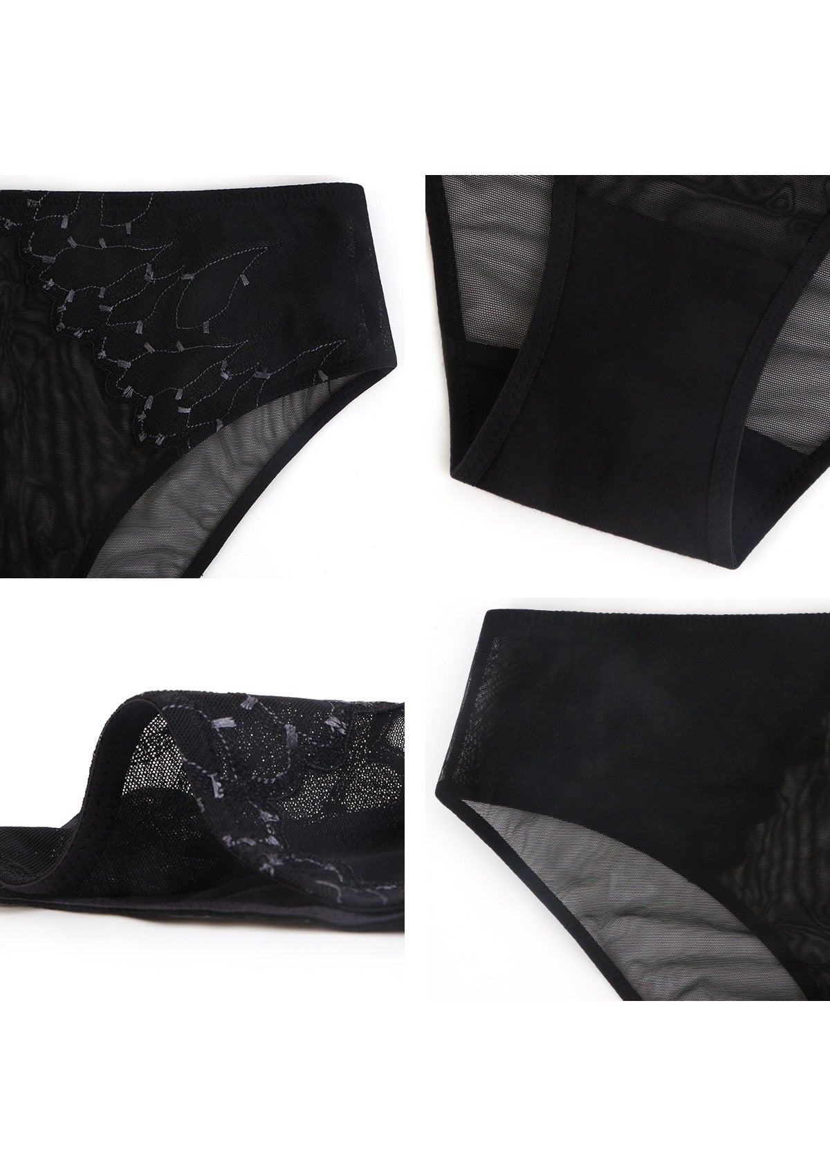 Winter Sonata Embroidered High-Rise Sheer Mesh Lace Bikini Undewear - HSIA