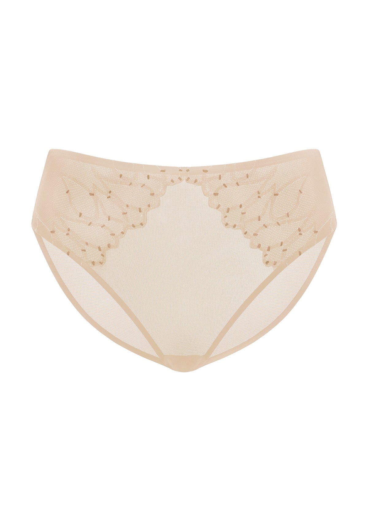 Winter Sonata Embroidered High-Rise Sheer Mesh Lace Bikini Undewear - HSIA