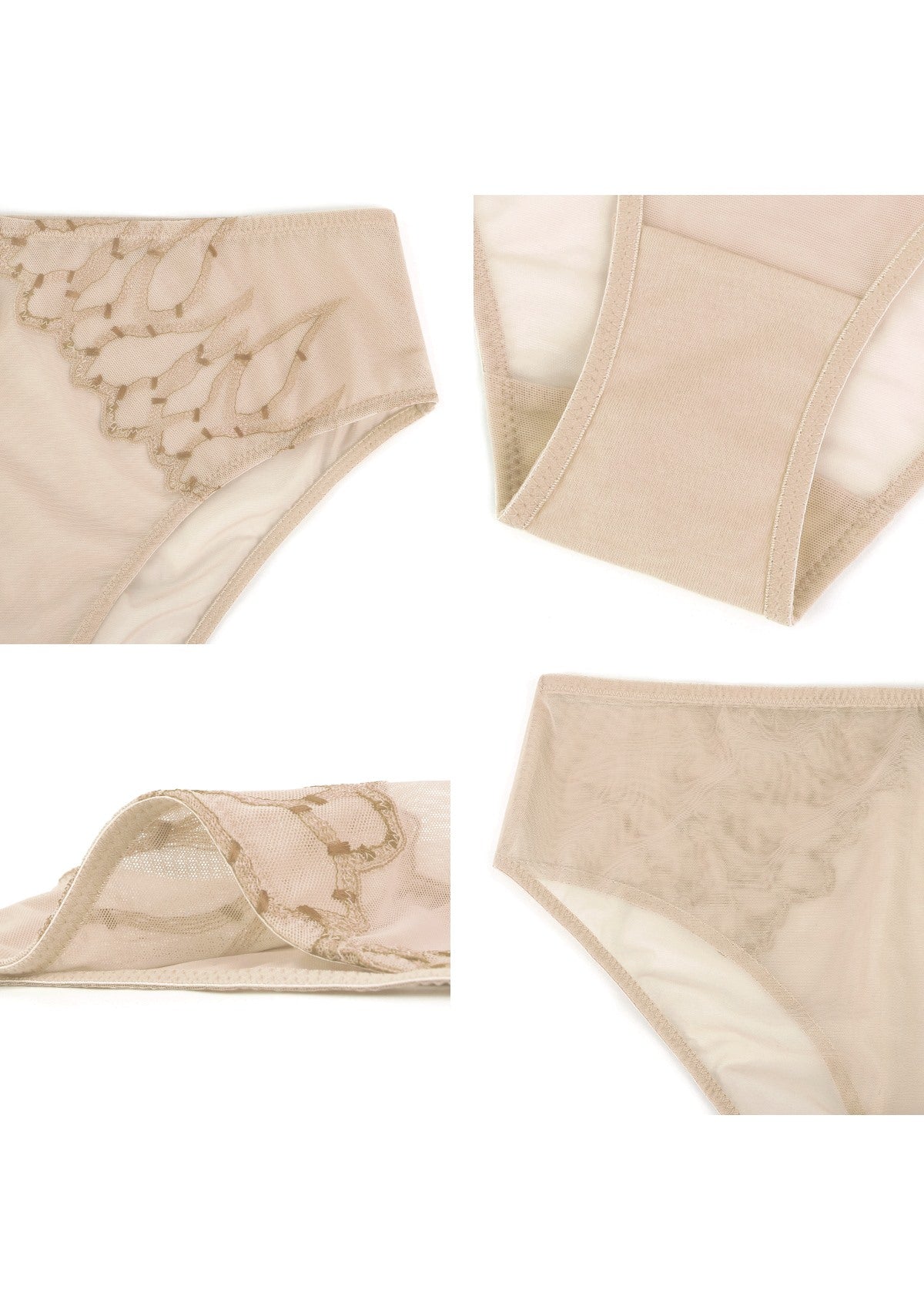 Winter Sonata Embroidered High-Rise Sheer Mesh Lace Bikini Undewear - HSIA