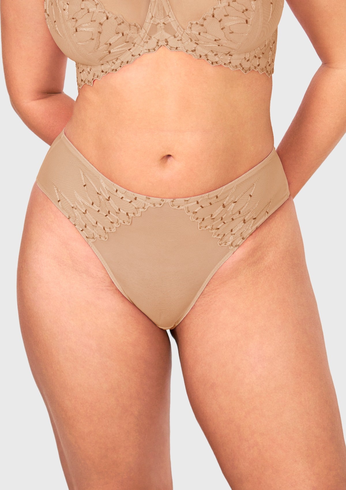 Winter Sonata Embroidered High-Rise Sheer Mesh Lace Bikini Undewear - HSIA