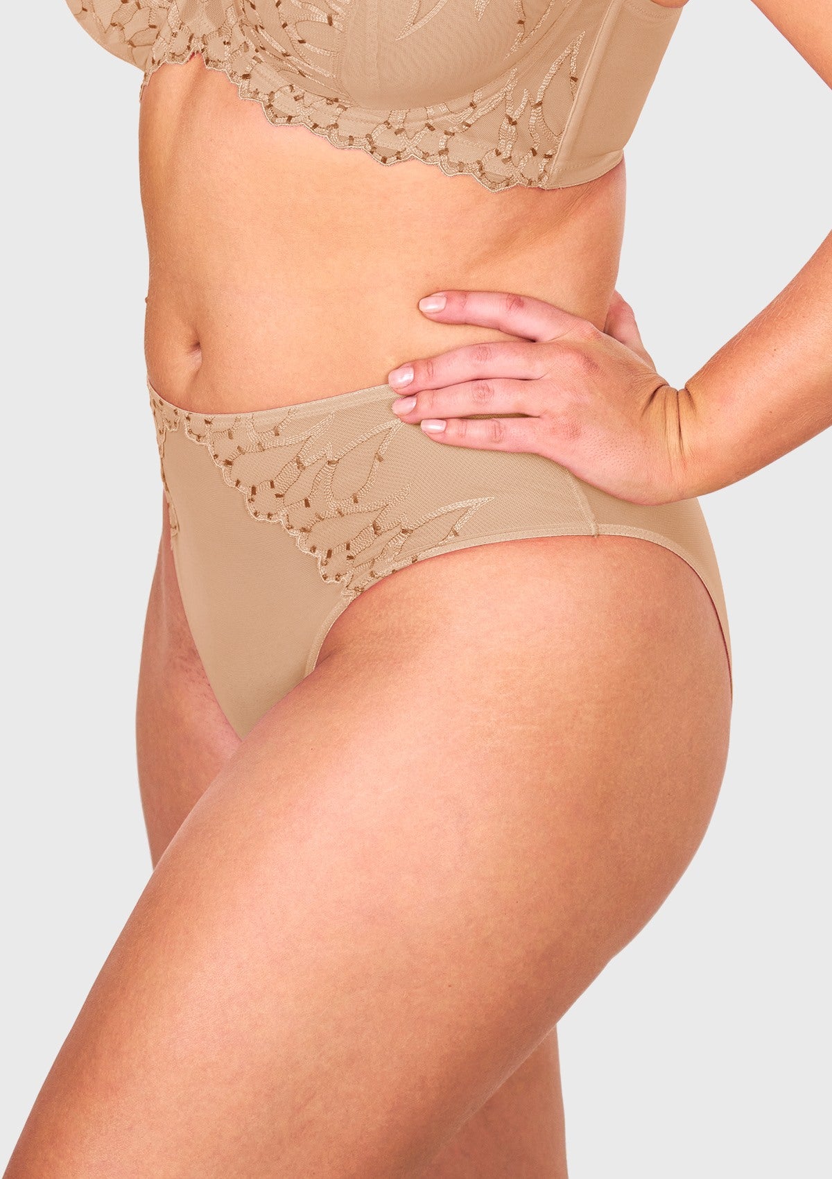 Winter Sonata Embroidered High-Rise Sheer Mesh Lace Bikini Undewear - HSIA