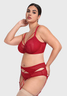HSIA Renna Holiday Embroidered Red Mesh Brief Underwear - HSIA