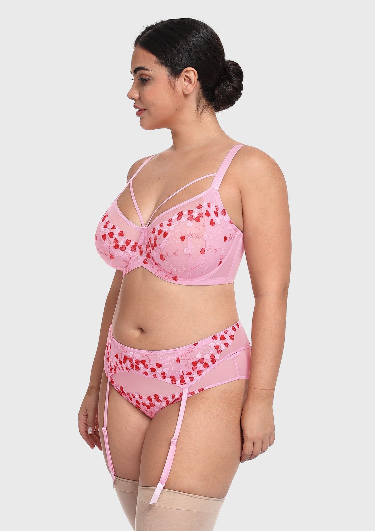 HSIA Renna Holiday Embroidered Pink Mesh Brief Underwear - HSIA