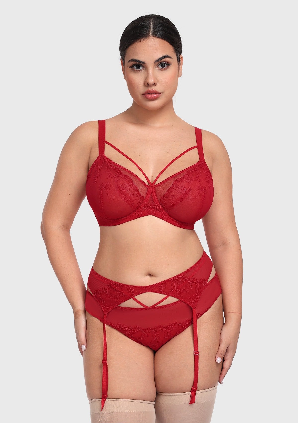 HSIA Renna Holiday Embroidered Red Mesh Brief Underwear - HSIA