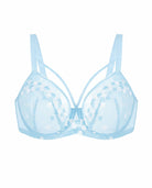 HSIA Renna Holiday Edit Embroidery Pink Lace Underwire Bra - HSIA