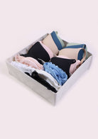 [Valued $20]HSIA Bra Drawer Organizer - HSIA