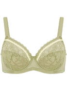 Jessamine Contrast Color Lace Underwire Bra Bundle - HSIA