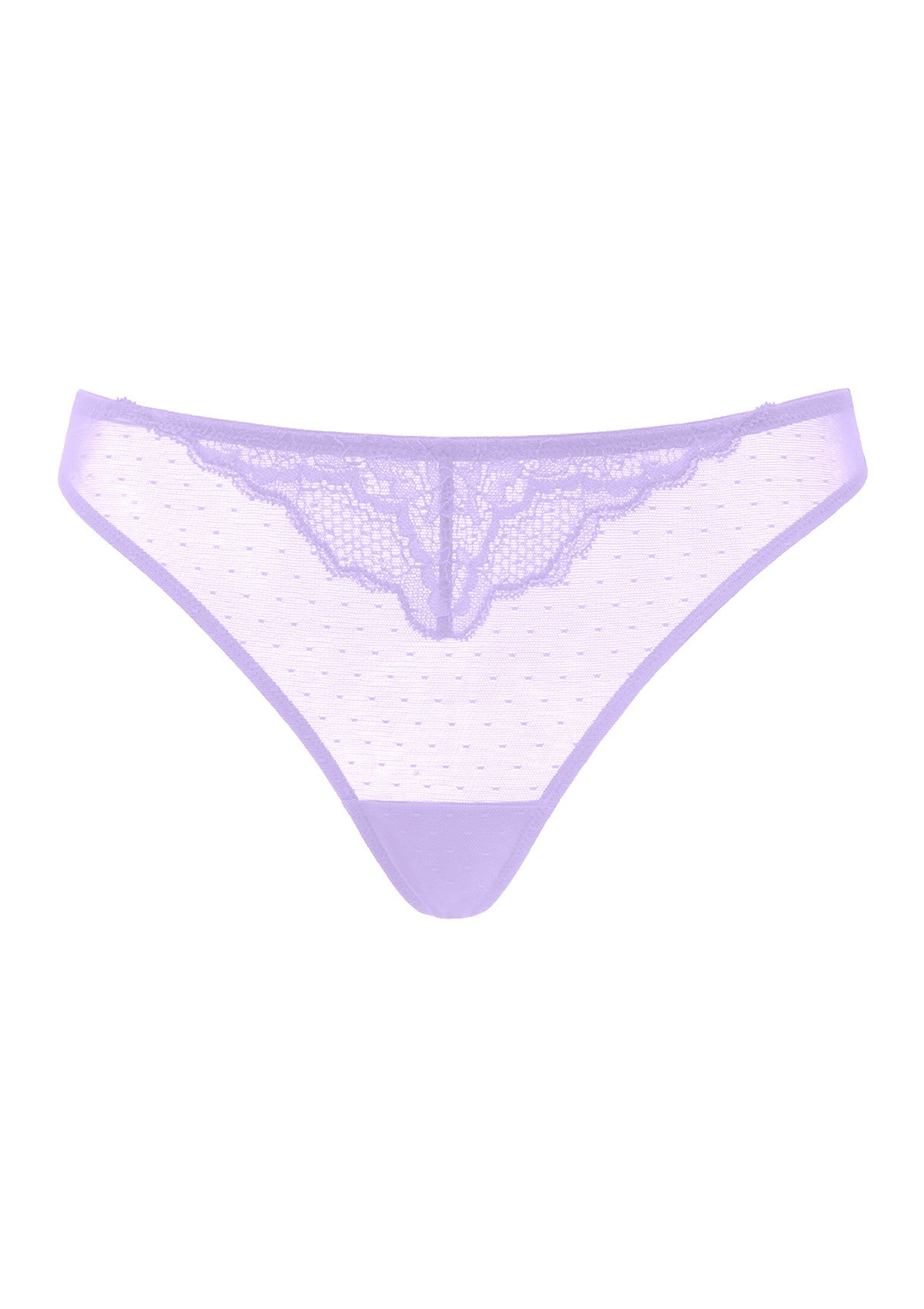 Enchante Floral Lace Sheer Mesh Back Thong Undewear - HSIA