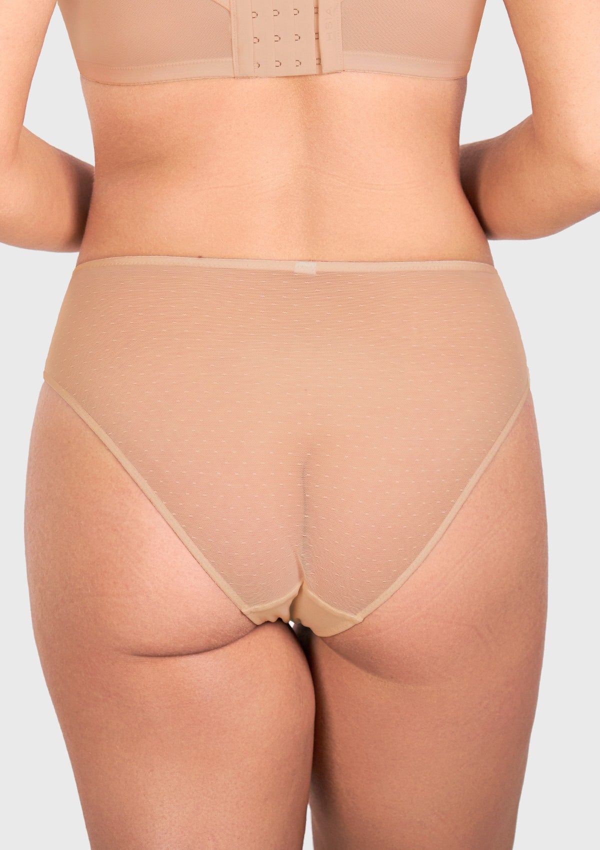 Enchante High-Rise Lace Brief Underwear - HSIA