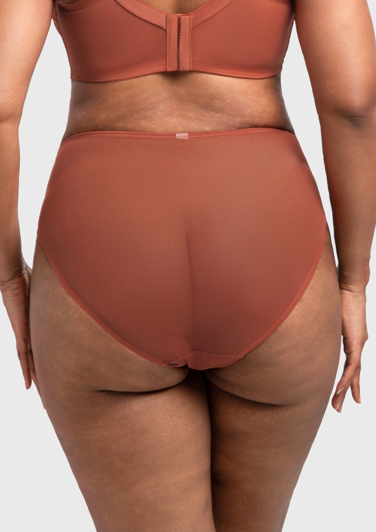 Mermaid High-Rise Lace Brief Underwear - HSIA