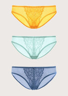 Enchante Lace Bikini Panties 3 Pack - HSIA