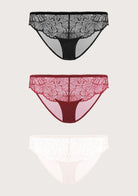 HSIA Blossom Lace Bikini Underwears 3 Pack - HSIA