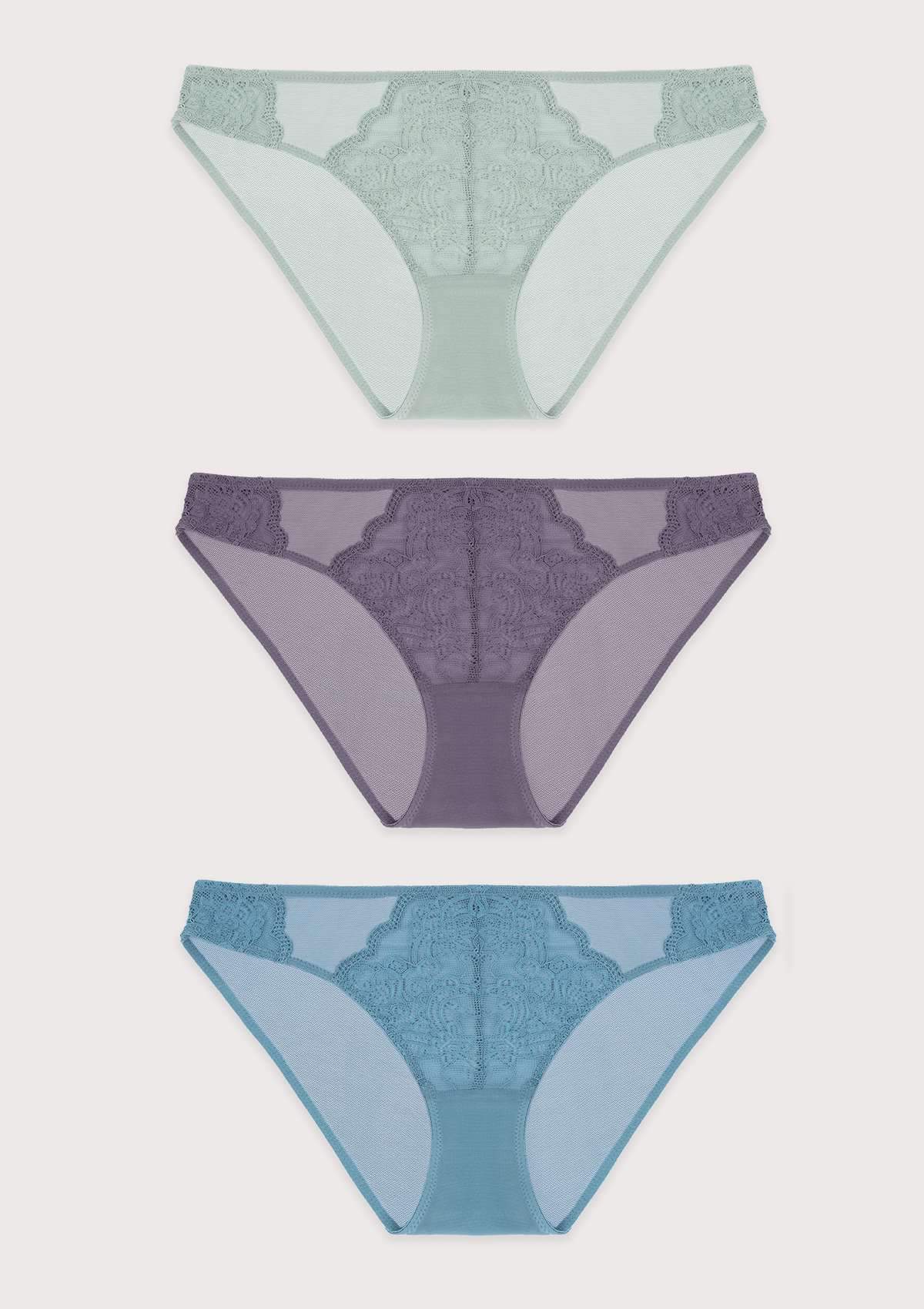 HSIA Floral Lace Bikini Panties 3 Pack - HSIA