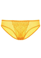 Enchante Lace Mid Rise Bikini Underwear - HSIA